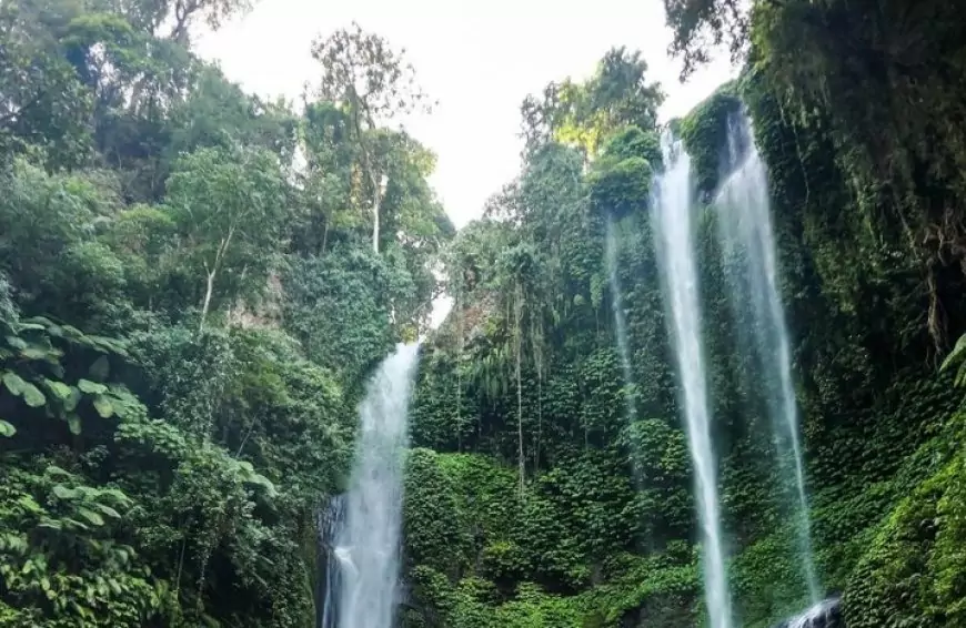 Menyusuri Keindahan Air Terjun Sekumpul, Bali: Destinasi Alam yang Memikat di Pulau Dewata