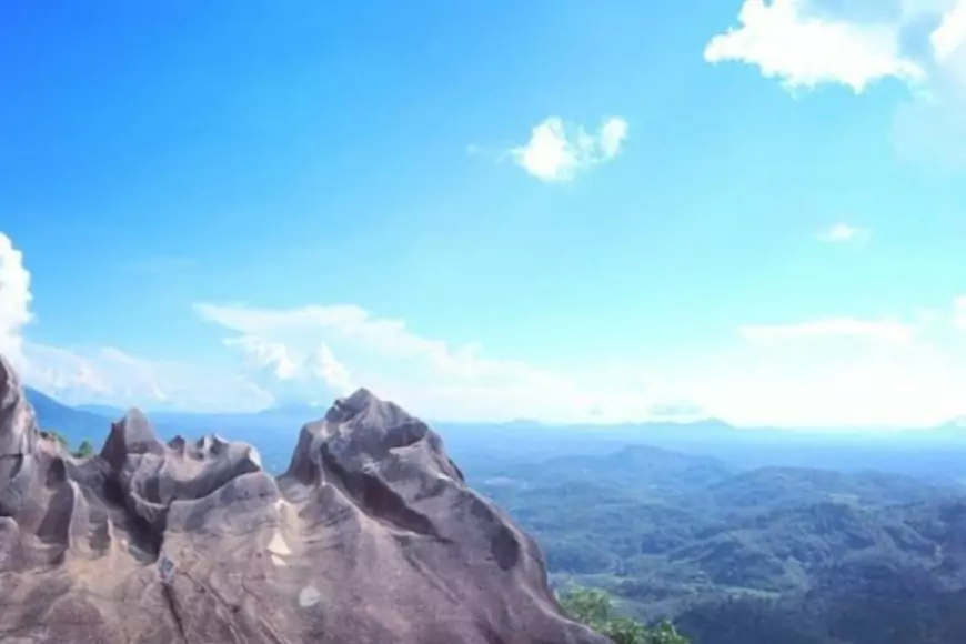 Pesona Bukit Jamur, Kalimantan Barat: Destinasi Instagramable di Puncak Bengkayang