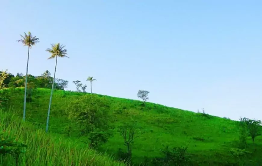 Menikmati Pesona Bukit Temenong: Perpaduan Indah Lautan Biru dan Petualangan di Kalimantan Barat