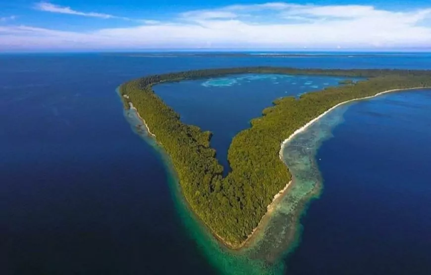 Keajaiban Pulau Kakaban: Danau Ubur-Ubur di Kalimantan Timur