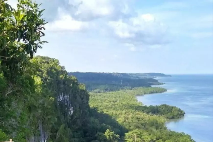 Gunung Putih: Pesona Alam dan Sejarah di Kalimantan Utara