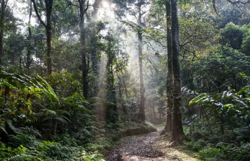 Pengaruh Babat Tanah Jawa terhadap Kebudayaan: Jejak Sastra yang Abadi